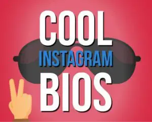 1000 Best Instagram Bios Funny Creative Cool Ideas