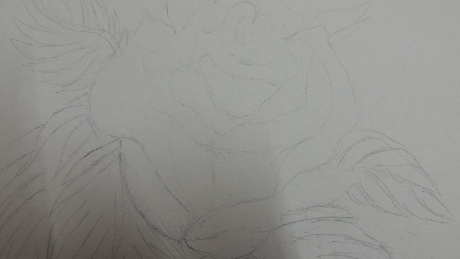 Step by Step Guide to Pencil Sketching