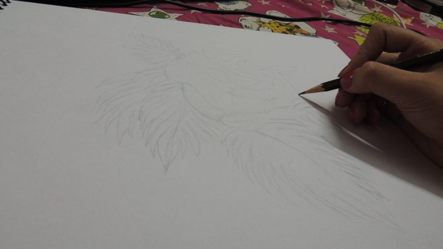 Step by Step Guide to Pencil Sketching