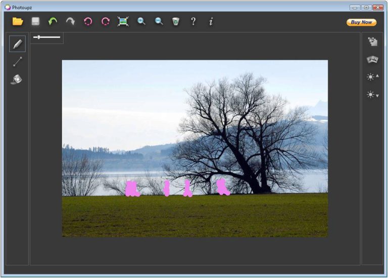 13 Best Watermark Remover Software [Free Included] 2024