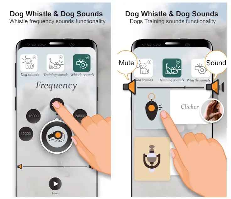 18 Free Dog Whistle Apps That Works Everytime