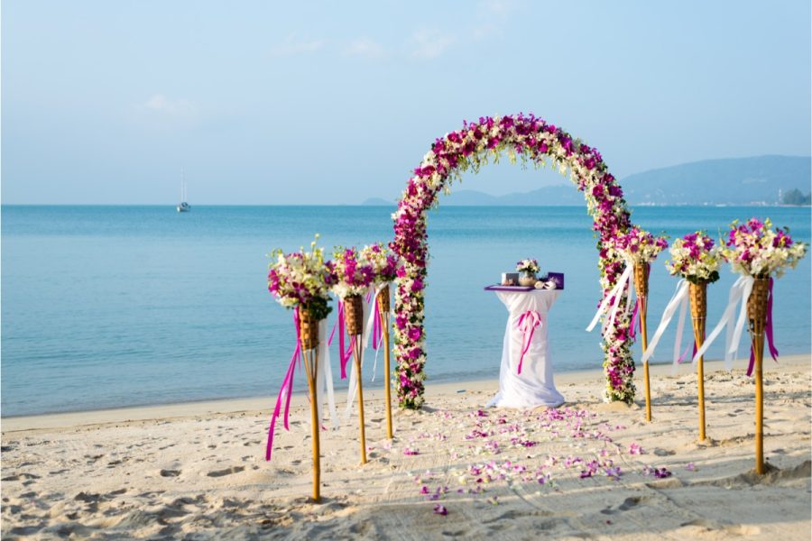 DIY PVC Pipe Arch How Do You Make a DIY PVC Pipe Arch?