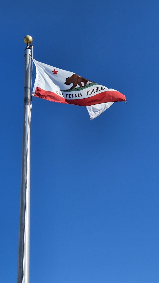A flag with a bear on it flying in the sky